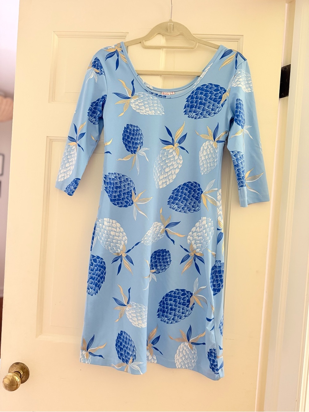 Light Blue Pineapple-Print Women's Dress